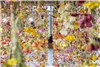 گزارش تصویری آویزان شدن گل ها از سقف نمایشگاه هنری