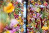 گزارش تصویری آویزان شدن گل ها از سقف نمایشگاه هنری