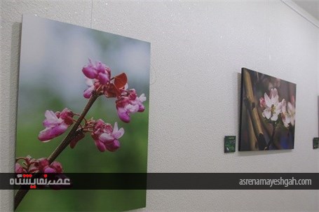 گزارش تصویری برگزاری نمایشگاه عکس &#171;تولد طبیعت&#187; در کرج