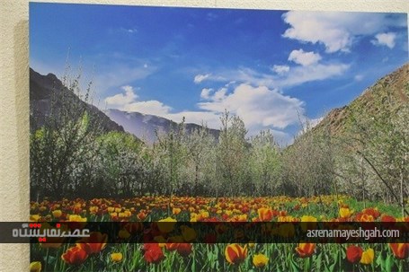 گزارش تصویری برگزاری نمایشگاه عکس &#171;تولد طبیعت&#187; در کرج