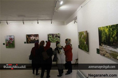گزارش تصویری برگزاری نمایشگاه عکس &#171;تولد طبیعت&#187; در کرج