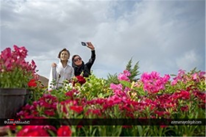 نمایشگاه گل و گیاه در محلات