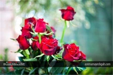 نمایشگاه گل و گیاه در محلات