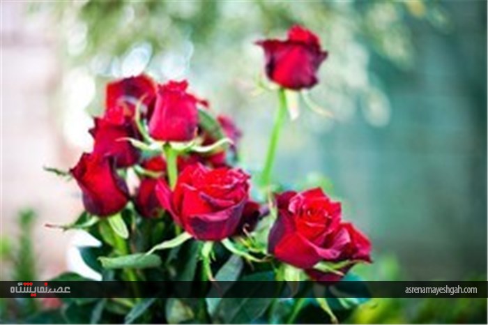 نمایشگاه گل و گیاه در محلات