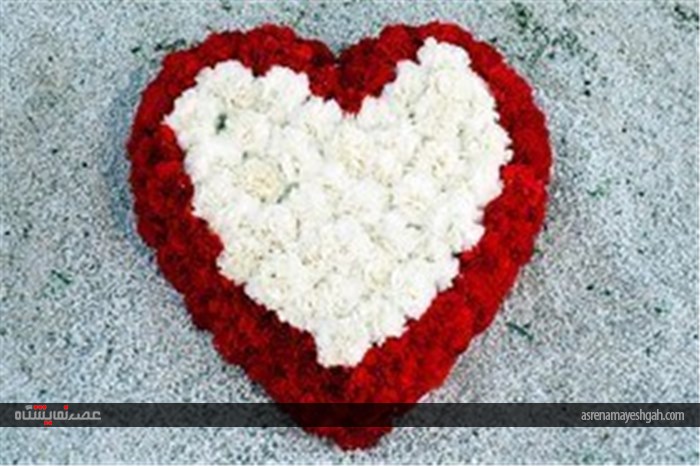 نمایشگاه گل و گیاه در محلات