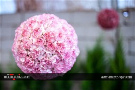 نمایشگاه گل و گیاه در محلات