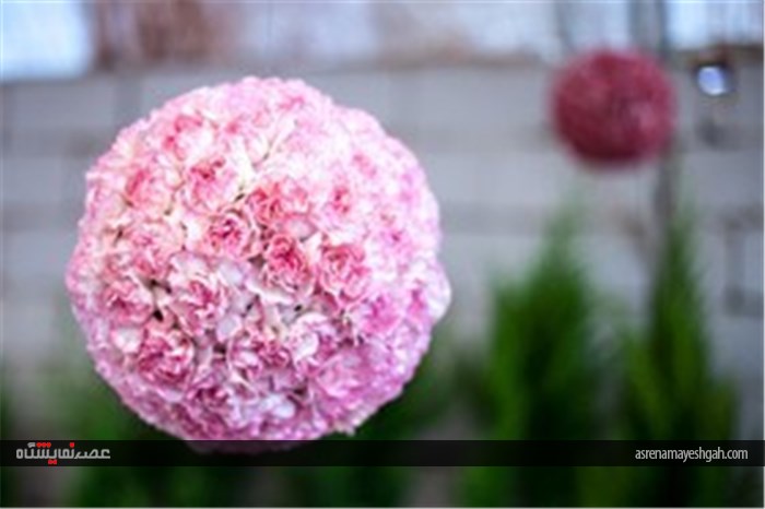 نمایشگاه گل و گیاه در محلات