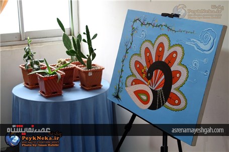 گزارش تصویری افتتاح نمایشگاه هنرهای تجسمی در نکا