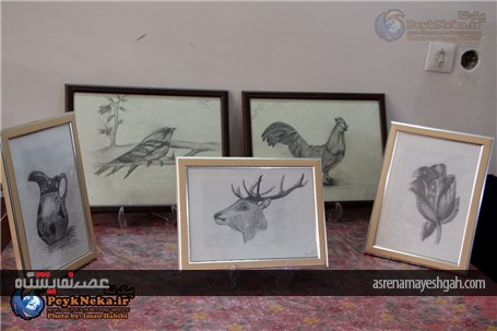گزارش تصویری افتتاح نمایشگاه هنرهای تجسمی در نکا