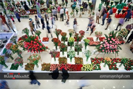 گزارش تصویری آغاز به کار نمایشگاه گل و گیاه تهران