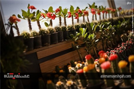 گزارش تصویری آغاز به کار نمایشگاه گل و گیاه تهران