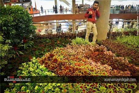 گزارش تصویری آغاز به کار نمایشگاه گل و گیاه تهران