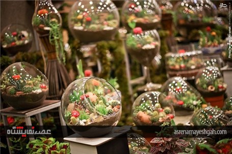 گزارش تصویری آغاز به کار نمایشگاه گل و گیاه تهران