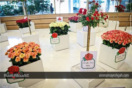 گزارش تصویری آغاز به کار نمایشگاه گل و گیاه تهران
