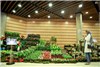 گزارش تصویری آغاز به کار نمایشگاه گل و گیاه تهران