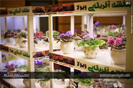 گزارش تصویری آغاز به کار نمایشگاه گل و گیاه تهران