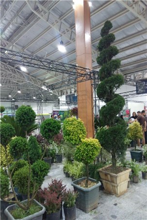 گزارش تصویری نمایشگاه تخصصی گل و گیاه در قائمشهر