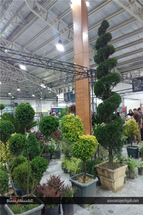 گزارش تصویری نمایشگاه تخصصی گل و گیاه در قائمشهر