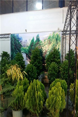 گزارش تصویری نمایشگاه تخصصی گل و گیاه در قائمشهر