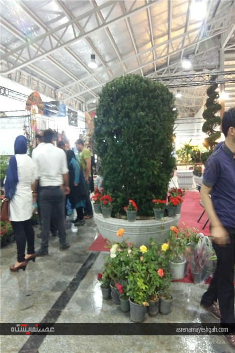 گزارش تصویری نمایشگاه تخصصی گل و گیاه در قائمشهر