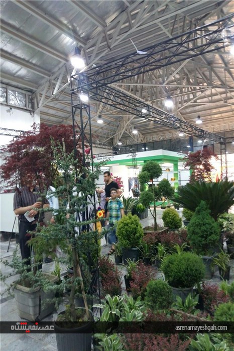 گزارش تصویری نمایشگاه تخصصی گل و گیاه در قائمشهر