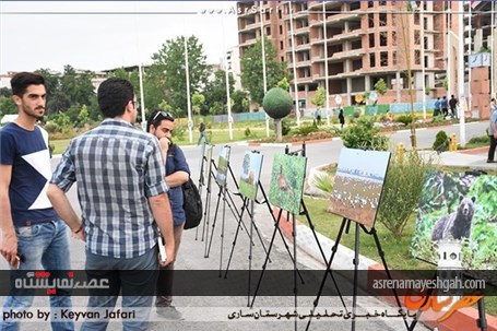 گزارش تصویری نمایشگاه عکس طبیعت در پارک ملل ساری