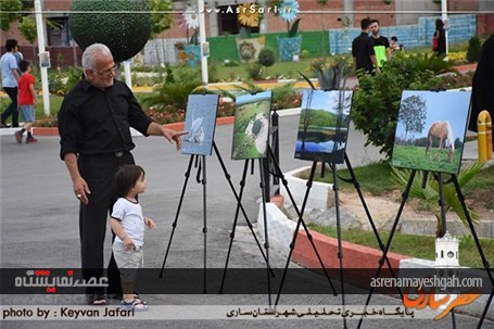 گزارش تصویری نمایشگاه عکس طبیعت در پارک ملل ساری