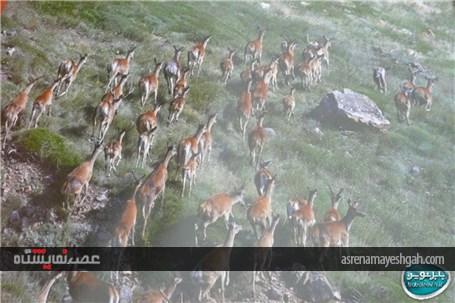 گزارش تصویری نمایشگاه محیط زیست بابل