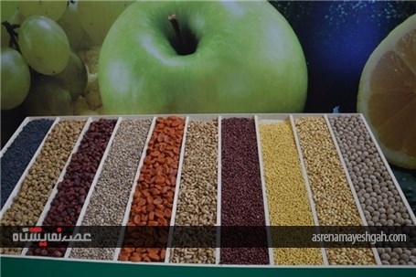 گزارش تصویری نمایشگاه بین‌المللی میوه و سبزیجات ازبکستان