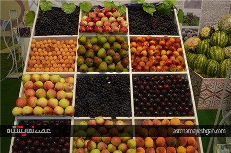 گزارش تصویری نمایشگاه بین‌المللی میوه و سبزیجات ازبکستان