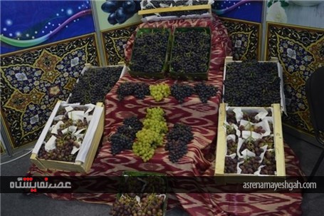 گزارش تصویری نمایشگاه بین‌المللی میوه و سبزیجات ازبکستان