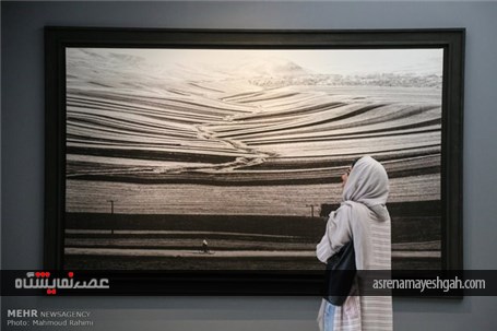 گزارش تصویری نمایشگاه عکسهای عباس کیارستمی