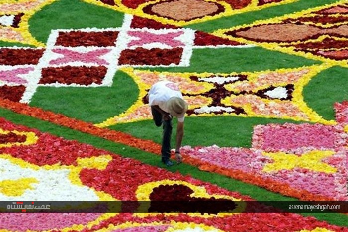 جشنواره فرش گل بروکسل؛ بلژیک +عکس