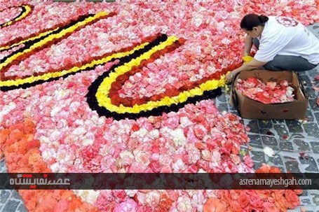 جشنواره فرش گل بروکسل؛ بلژیک +عکس