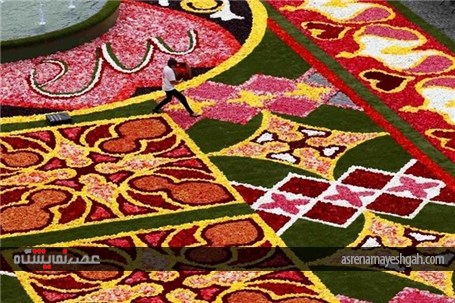 جشنواره فرش گل بروکسل؛ بلژیک +عکس