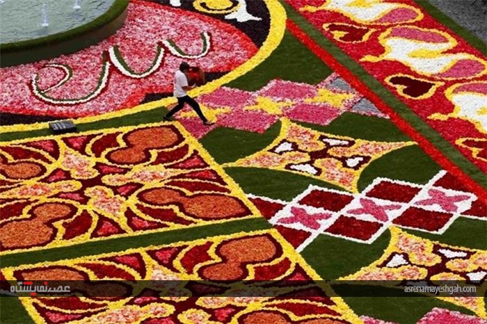 جشنواره فرش گل بروکسل؛ بلژیک +عکس