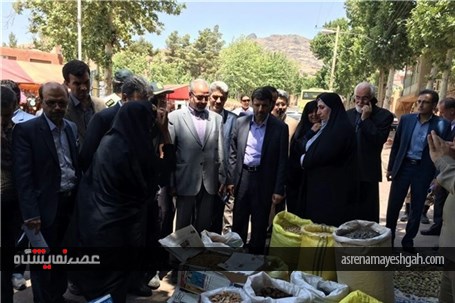 برپایی نمایشگاه دستاوردهای بانوان نطنزی در ابیانه+ تصاویر