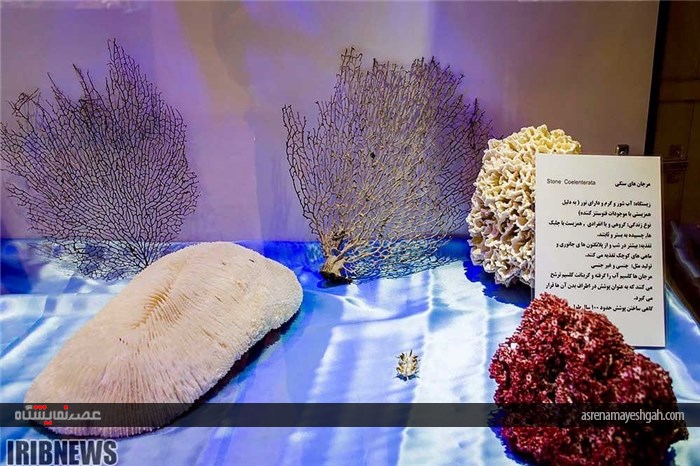 نمایشگاه صدف در اصفهان