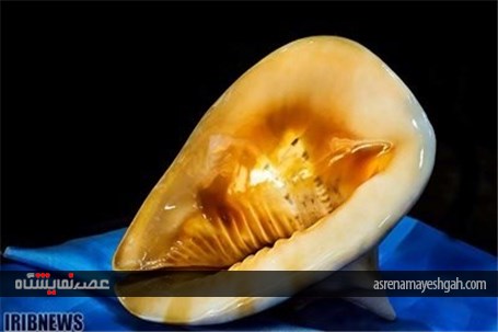 گزارش تصویری نمایشگاه صدف در اصفهان