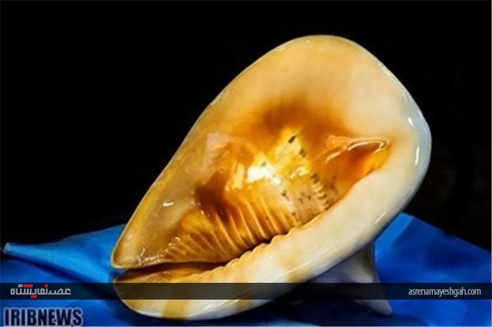 گزارش تصویری نمایشگاه صدف در اصفهان