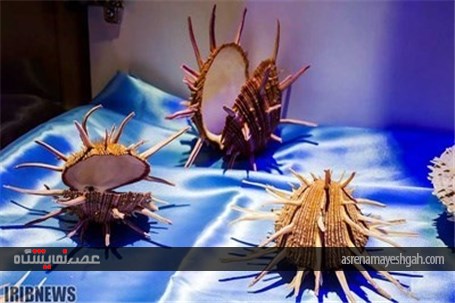 گزارش تصویری نمایشگاه صدف در اصفهان
