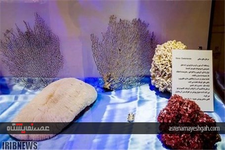 گزارش تصویری نمایشگاه صدف در اصفهان