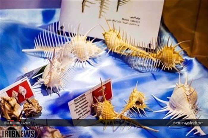 گزارش تصویری نمایشگاه صدف در اصفهان