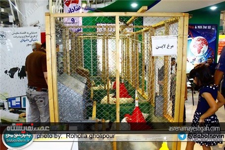 گزارش تصویری نمایشگاه تخصصی صنعت دام، طیور، شیلات و صنایع وابسته در بابل