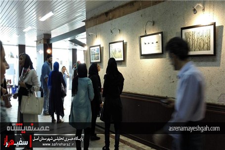 گزارش تصویری از نمایش 22 اثر منتخب در نمایشگاه عکس جشنواره &#171;تی تی&#187;