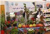 گزارش تصویری نمایشگاه محصولات کشاورزی و دامداری در غرب افغانستان