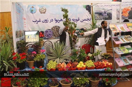گزارش تصویری نمایشگاه محصولات کشاورزی و دامداری در غرب افغانستان