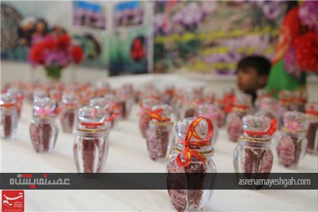 گزارش تصویری نمایشگاه محصولات کشاورزی و دامداری در غرب افغانستان