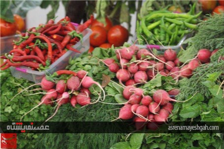 گزارش تصویری نمایشگاه محصولات کشاورزی و دامداری در غرب افغانستان