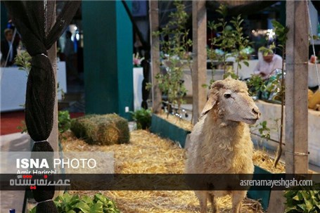 گزارش تصویری افتتاح هفدهمین نمایشگاه بین‌المللی مواد غذایی، ماشین‌آلات و صنایع وابسته مشهد